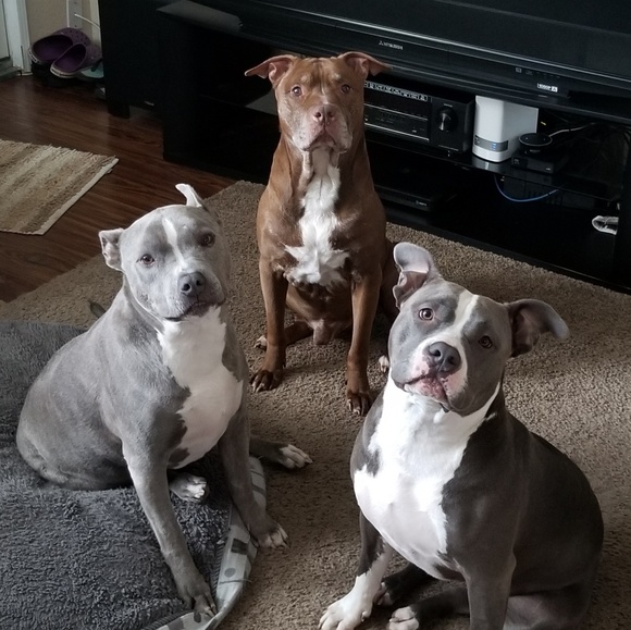 Meet your Posher, Doug - Picture 2 of 2